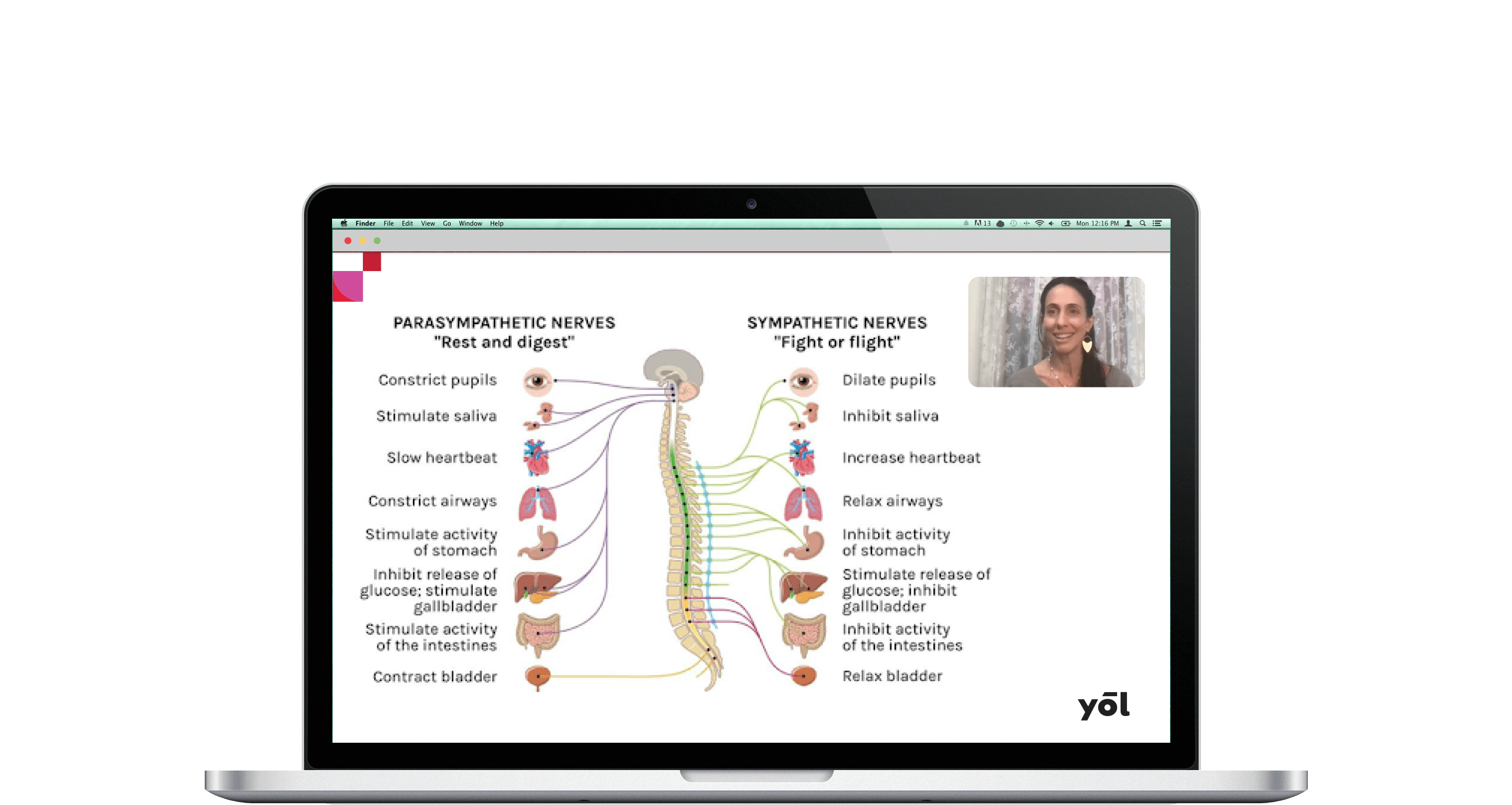Biochemistry of Breath